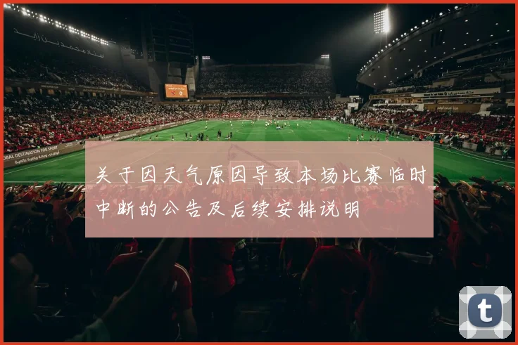 关于因天气原因导致本场比赛临时中断的公告及后续安排说明