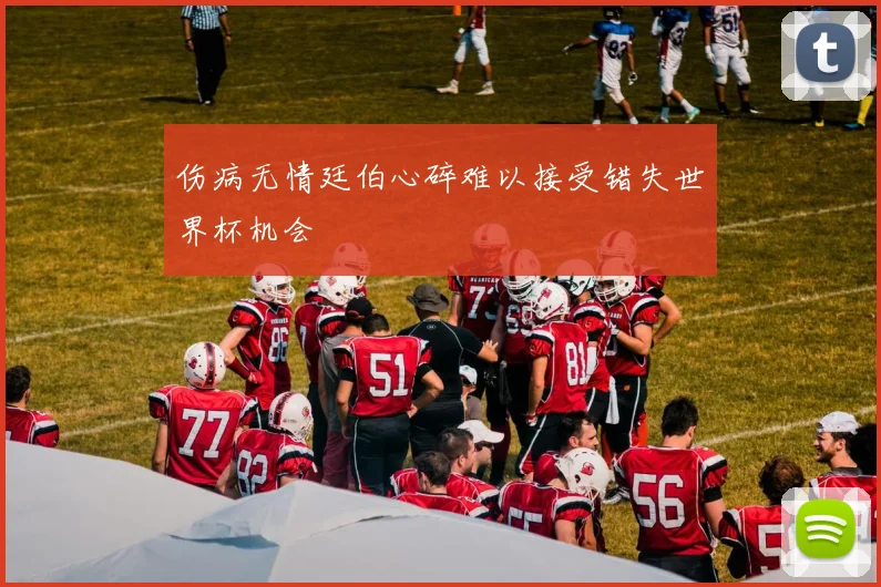 伤病无情廷伯心碎难以接受错失世界杯机会