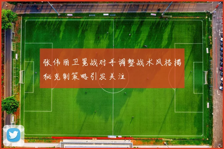 张伟丽卫冕战对手调整战术风格揭秘克制策略引发关注