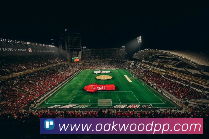 App 展示图